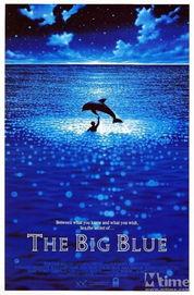 碧海蓝天 在线观看,在线畅享海洋生态之美  第3张